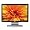 HP W1907 19-inch Widescreen Flat Panel LCD Monitor