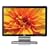 HP W1907 19-inch Widescreen Flat Panel LCD Monitor