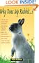 Why Does My Rabbit . . . ? (Why Does My . . . ? series)