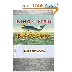 King Of Fish: The Thousand-Year Run of Salmon