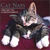 Cat Naps: The Key to Contentment