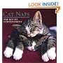 Cat Naps: The Key to Contentment