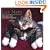 Cat Naps: The Key to Contentment
