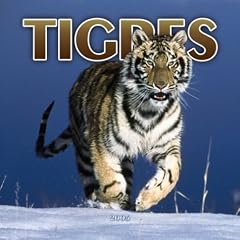 Tigres/tigers Mini 2005 Calendar