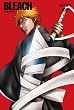 BLEACH �����E ������ 1 (������萶�Y) [DVD]