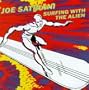 Surfing with the Alien