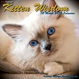 Kitten Wisdom Calendar 2012 (Wall Calendar) ~ Redd Calendar