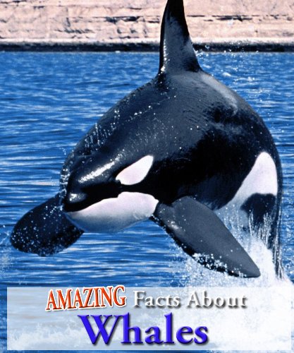 Amazing Facts About Whales! (Kindle Coffee Table Books)