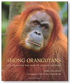 Among Orangutans: Red Apes and the Rise of Human Culture