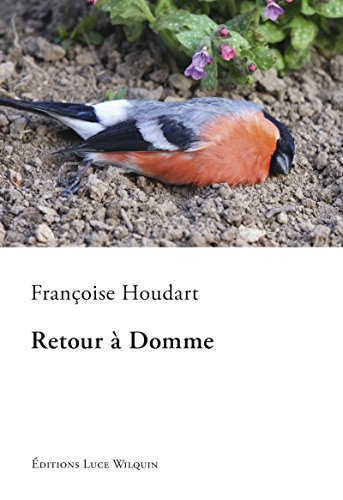 Retour à Domme: Un roman d'aventures (SMERALDINE) (French Edition)