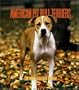 American Pit Bull Terriers Weekly 2006 Calendar