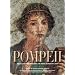 Pompeii: The History, Art and Life of the Buried City (Timeless Treasures)