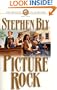 Picture Rock (The Skinners of Goldfield, Book 3)