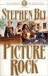 Picture Rock (The Skinners of Goldfield, Book 3)