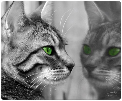 Speedlink Silk Mousepad, Cat Preisvergleich