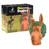 Chia Donkey Handmade Decorative Planter, 1 Kit