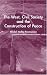 The West, Civil Society and the Construction of Peace