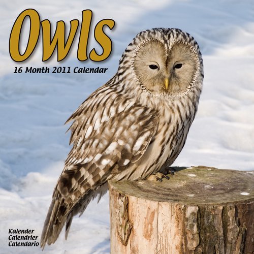 Owls 2011 Wall Calendar #30134-11