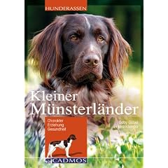 Kleiner M�nsterl�nder: Charakter, Erziehung und Gesundheit
