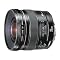 A Decent 20D Startup