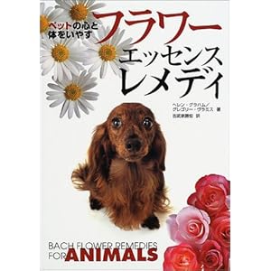 �y�b�g�̐S�Ƒ̂����₷�t�����[�E�G�b�Z���X�E�����f�B�[