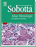 Atlas Histologie: Zytologie, Histologie, Mikroskopische Anatomie