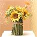 Sunflowers in Piedi