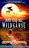 Fly Away Home by 