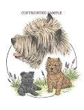 Cairn Terrier - Trio Image by Cindy Farmer