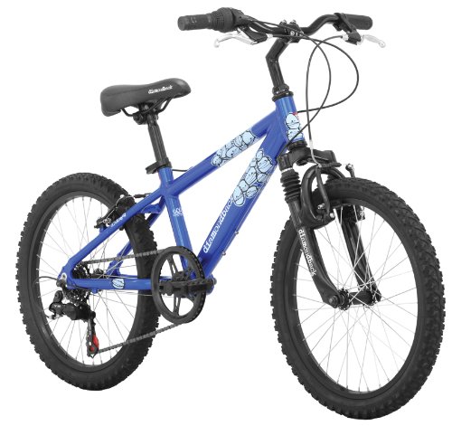 Diamondback Octane Jr Boy's Mountain Bike (20-Inch Wheels)
