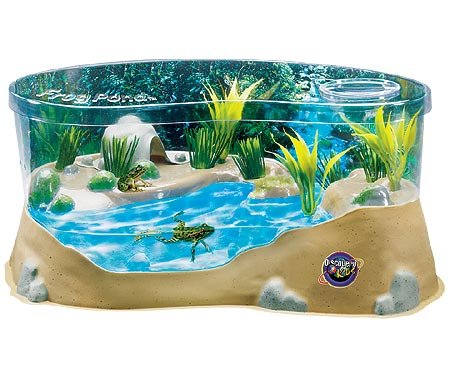 Discovery Frog Pond Terrarium