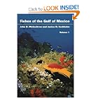 Fishes of the Gulf of Mexico, Vol. 1: Myxiniformes to Gasterosteiformes by John McEachran and Janice D. Fechhelm