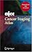 AJCC Cancer Staging Atlas: AJCC Cancer Staging Illustrations in PowerPoint® From the AJCC Cancer Staging Atlas