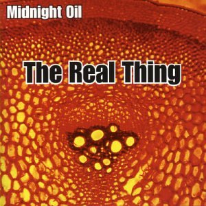 Midnight Oil - Real Thing - Zortam Music