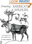 Drawing America's Wildlife: An Artist's Portfolio of North American Animals