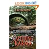 Capturing Karma (The Sullivan Boys)