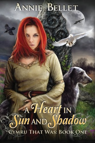 a heart in sun and shadow chwedl book one