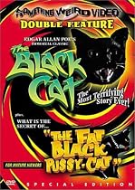 The Black Cat / The Fat Black Pussycat Streaming.