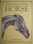 Anatomy of the Horse