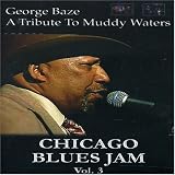 Vol. 3-Chicago Blues Jam
