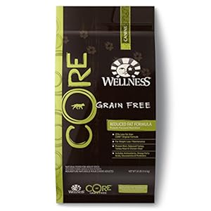 Wellness CORE Natural Grain Free Dry Dog Food, Reduced Fat Recipe, 26-Pound Bag