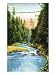 Vancouver, Canada - View of Capilano Suspension Bridge No. 2 Giclee Poster Print, 24x32