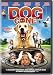 Dog Gone
