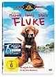 Fluke