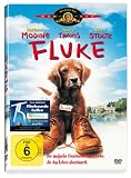 Fluke