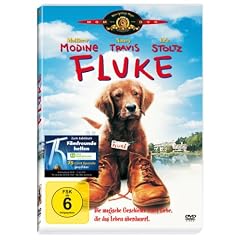 Fluke
