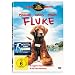 Fluke