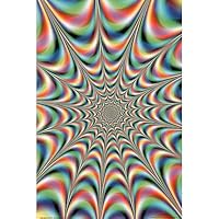 Fractal Illusions Trippy Art Print Poster