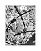 City Arabesque, 1938 (New York City) by Berenice Abbott poster print,14.2 in. x 17.8 in.
