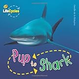Pup to shark